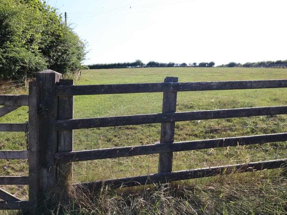 Cottage | Miscellaneous