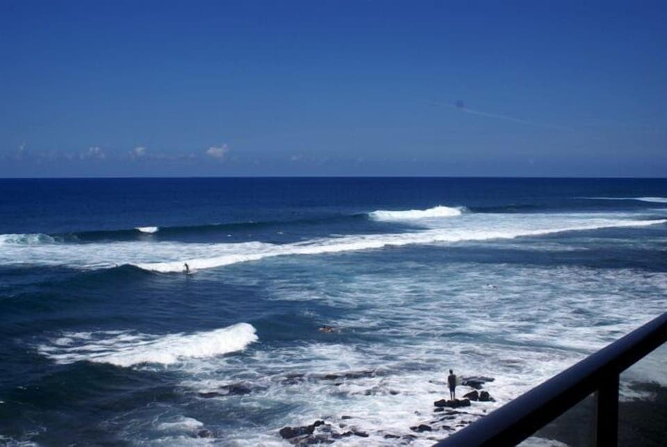 Toyabrown Penthouse -
 Cowbunga! Surf's Up 