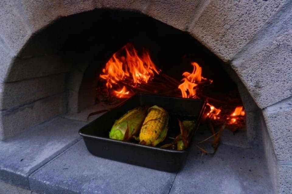 Woodfired pizza oven