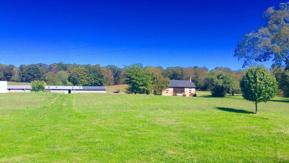 Robbins Nest Farm