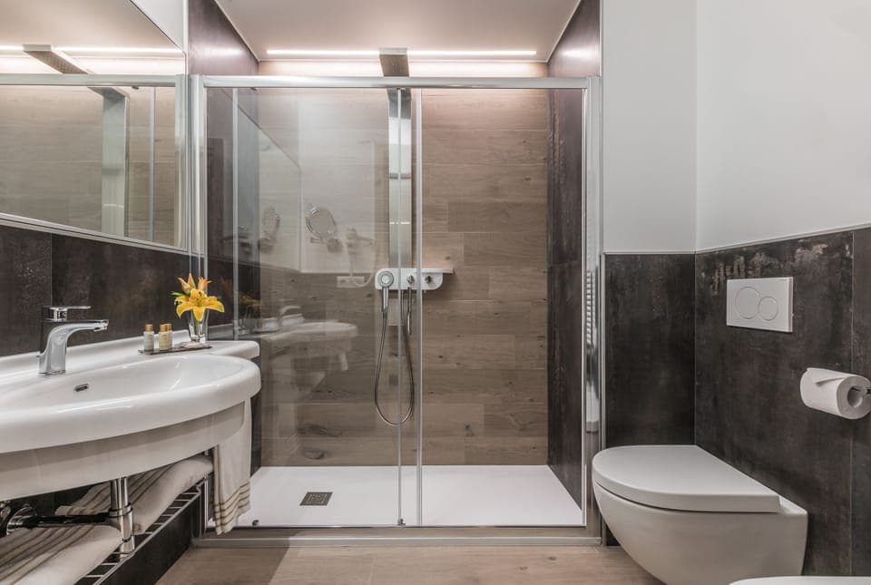 Shower, free toiletries, hair dryer, bidet