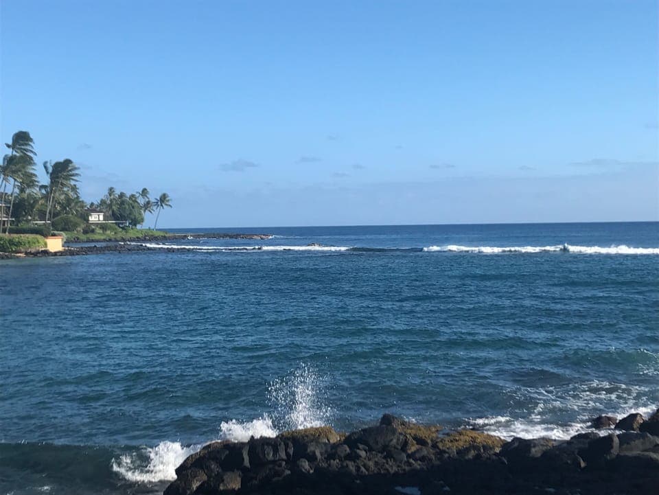 The amazing view from our lanai looking east at the Pacific Ocean!