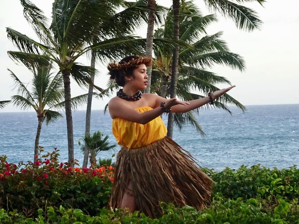 There are many options nearby to watch the beautiful hulu dancers perform.