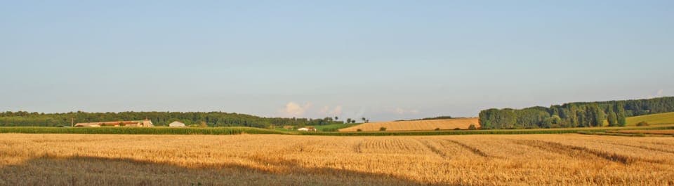 View of Open Countryside