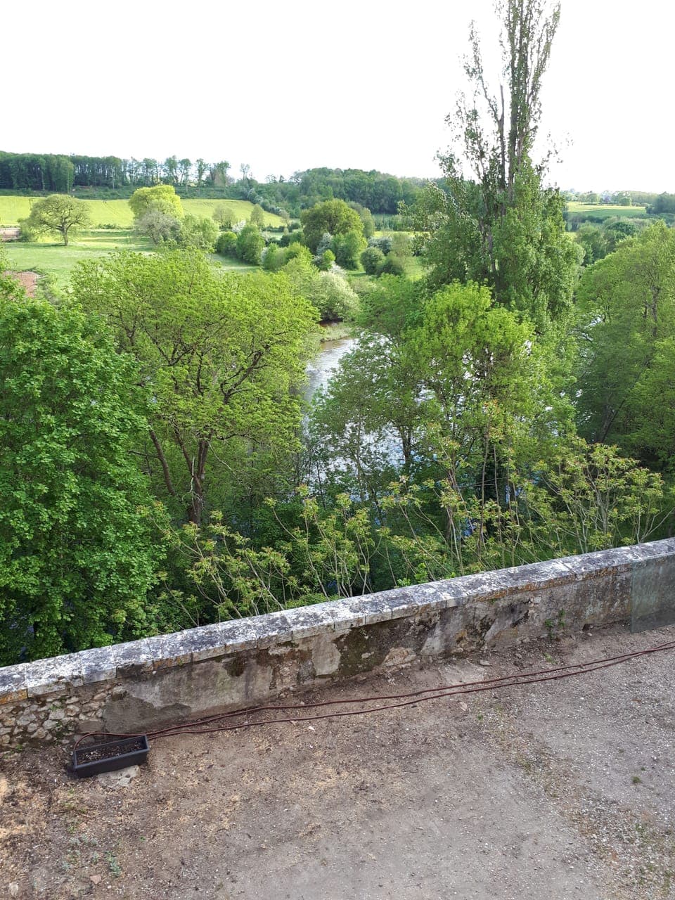 Family Room (Rose) | View from room