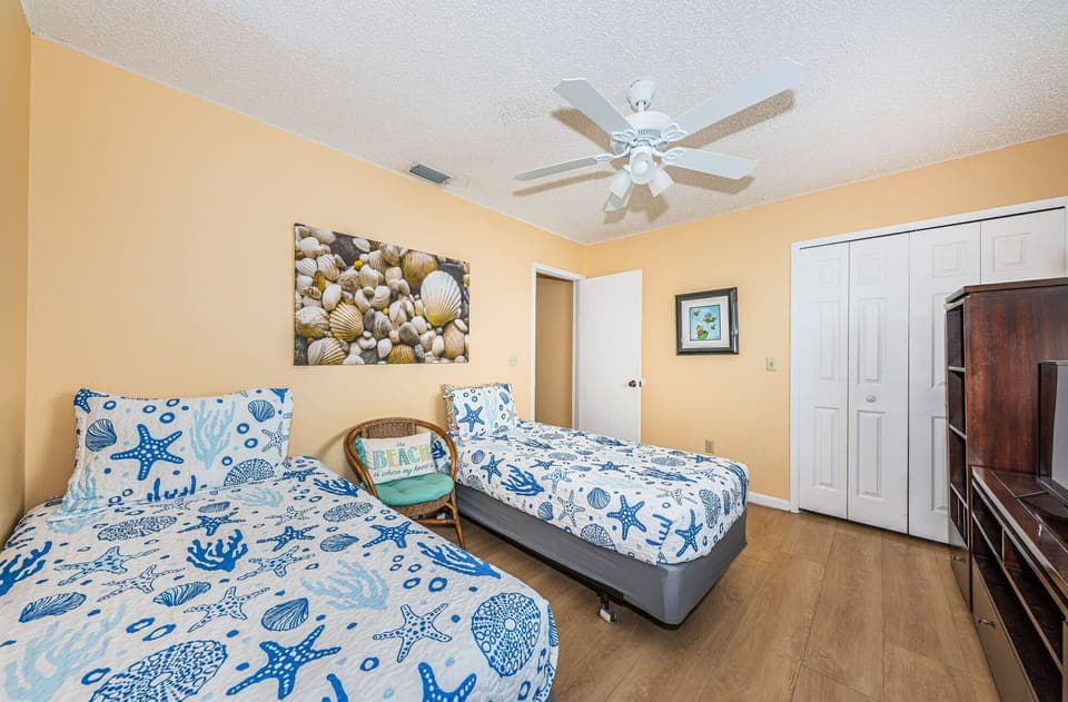 Ceiling fan and tv