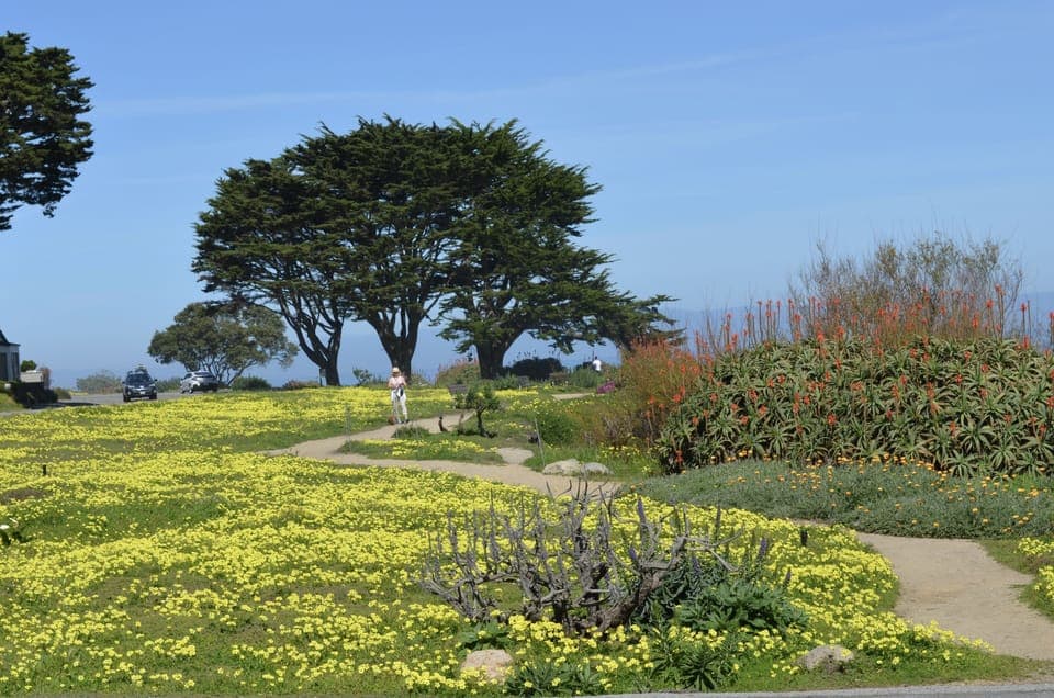 Recreational path along the ocean across the street from the house.