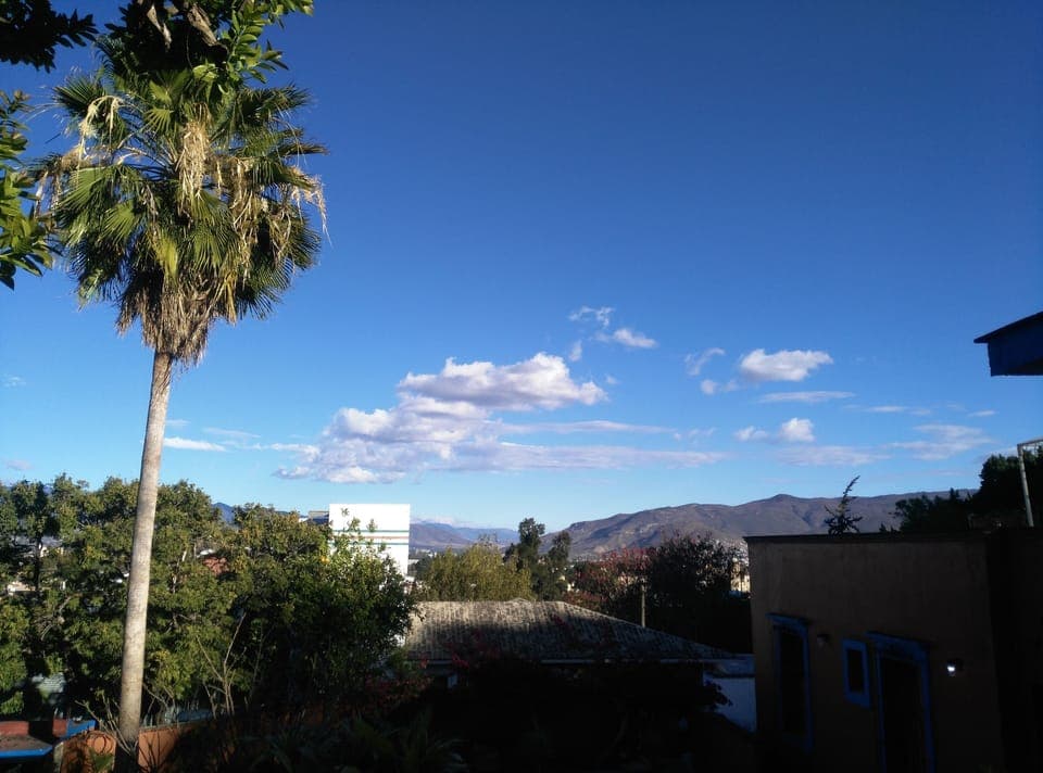 View from the terrace