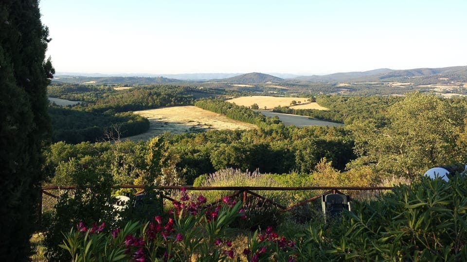 wiew from the garden