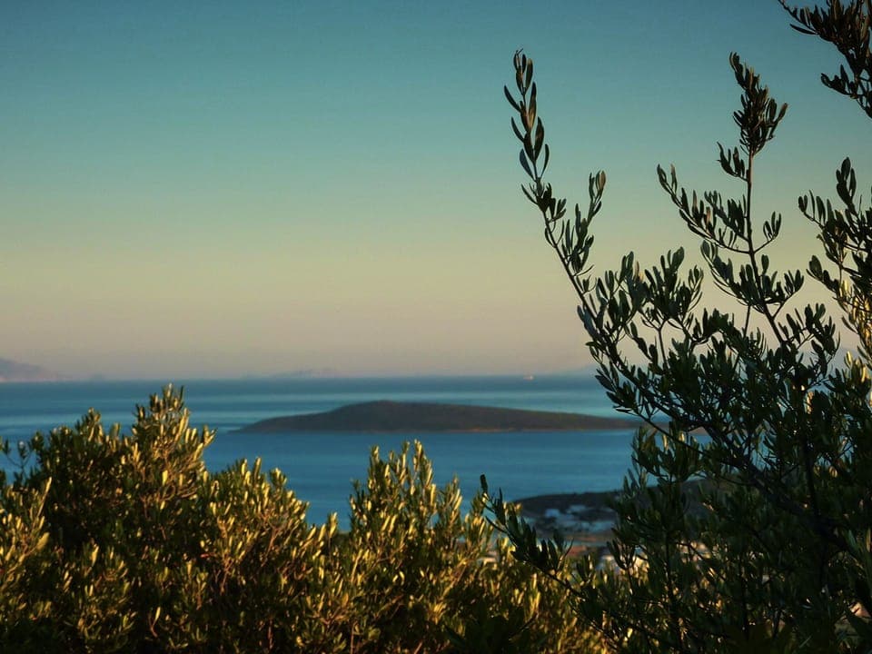 Garden view towards blue lagoon