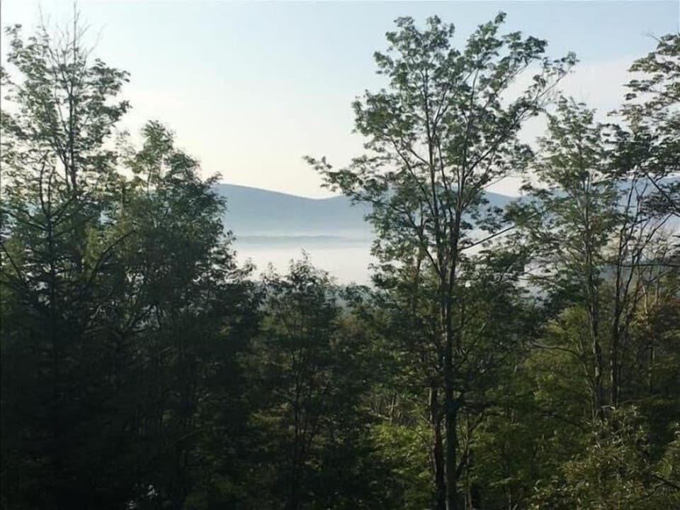 View From Deck