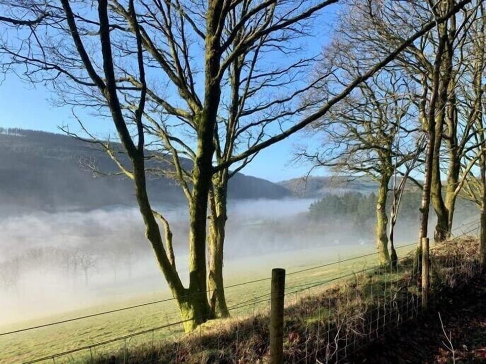 Lovely morning walk in the Forest.
