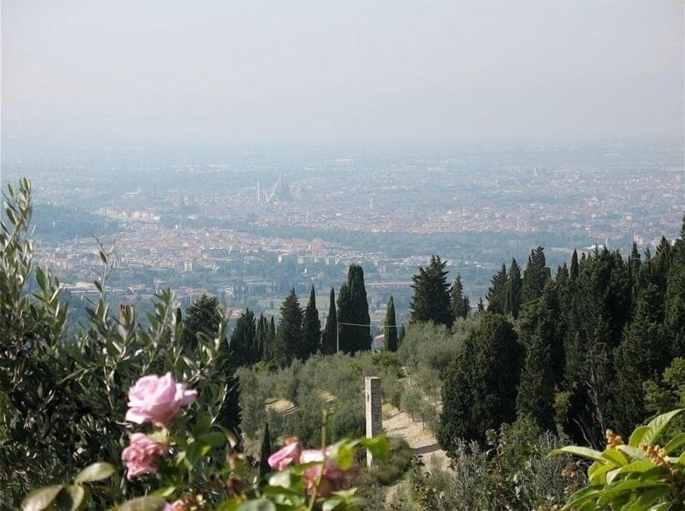 View from the property