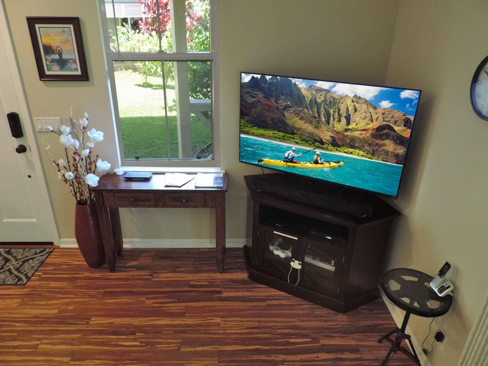 Living room entertainment.
