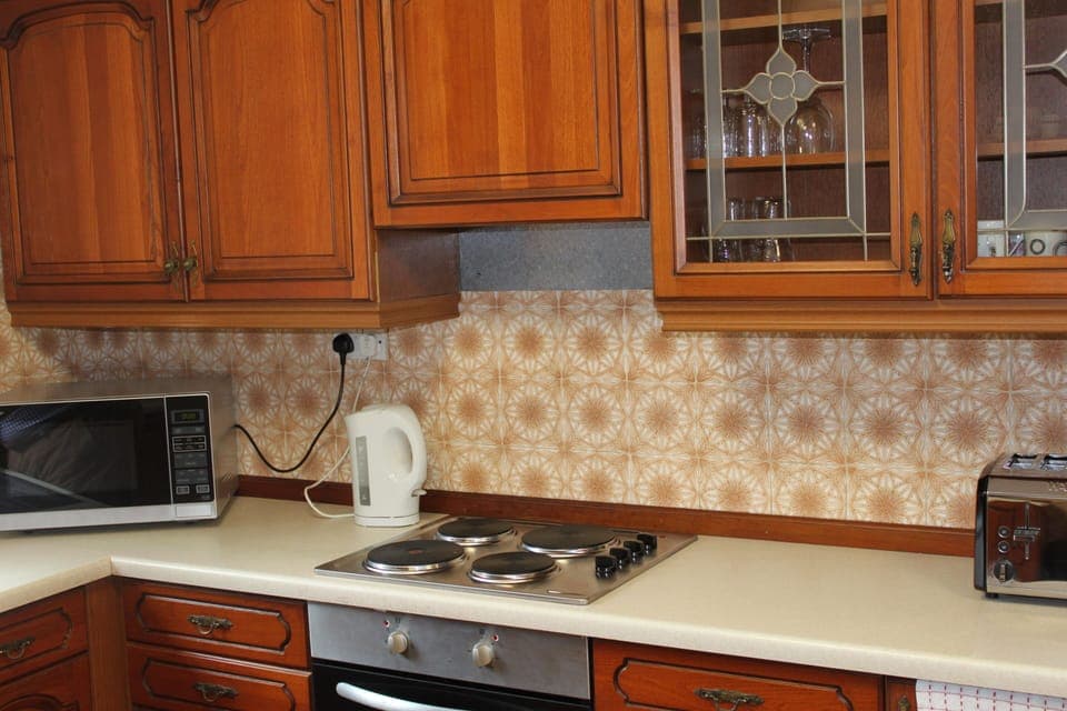 Full-size fridge, oven, stovetop, electric kettle