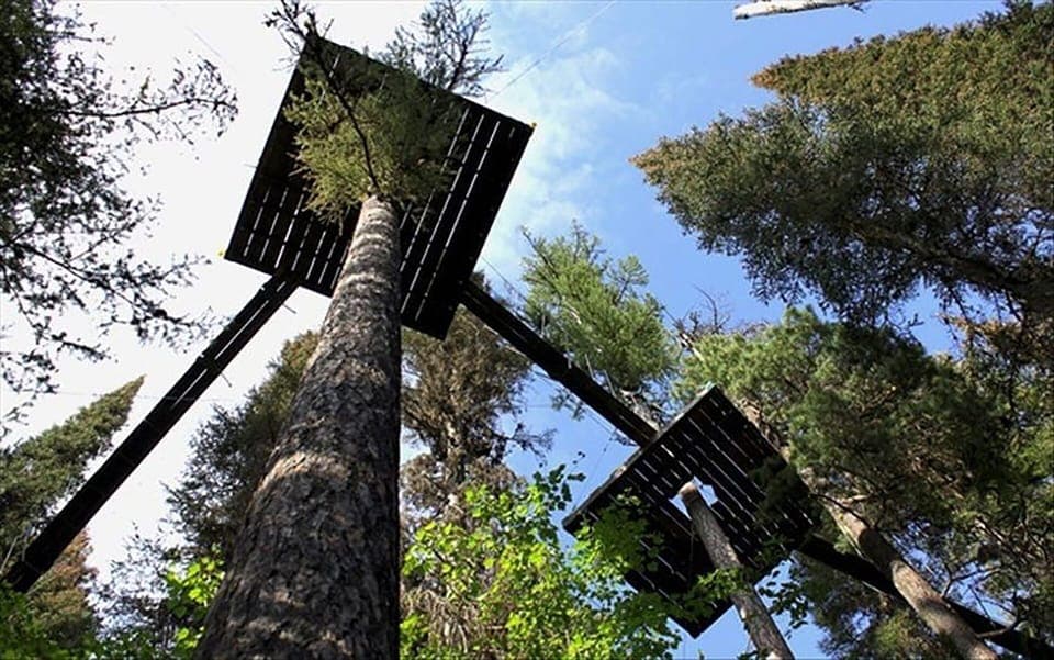 Walk In The Treetops located in the base area. About a 5 minute walk from condo