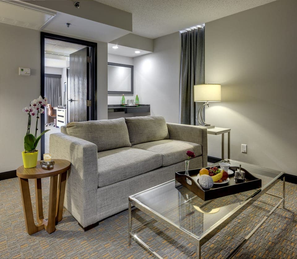 43-inch flat-screen TV with premium channels, TV