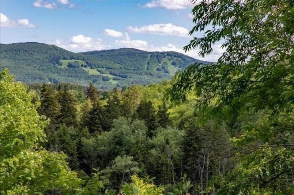 View From Deck