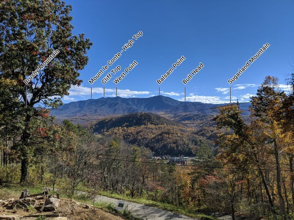 View