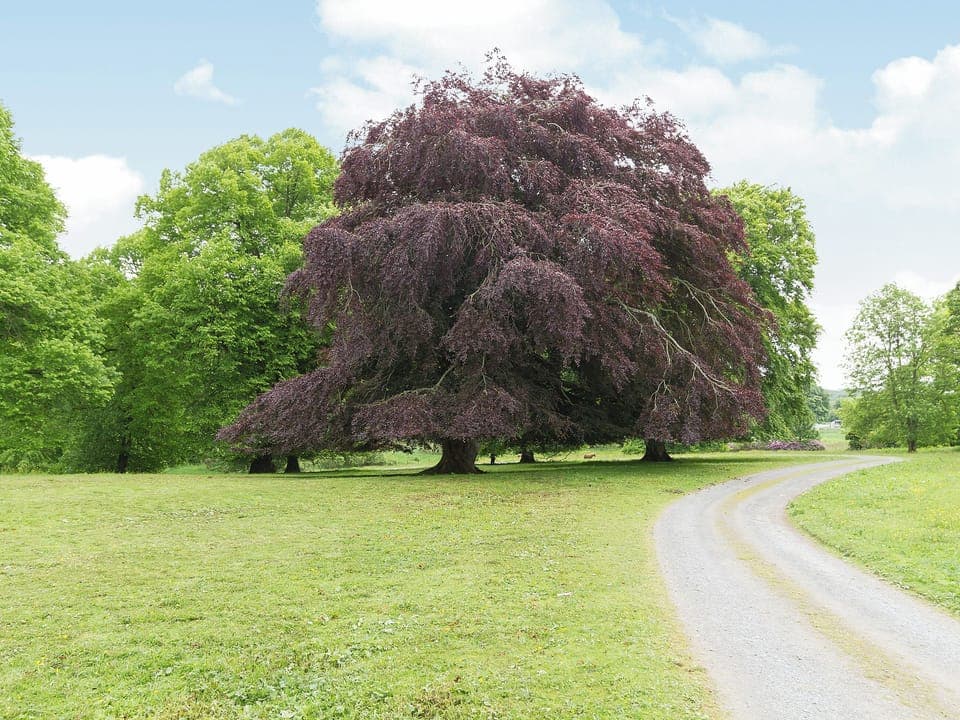 Garden and grounds | Symbister Suite, Delgatie Castle, Turriff
