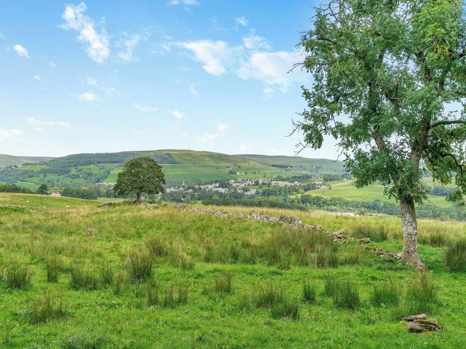 Surrounding area | Widows Cottage, Alston