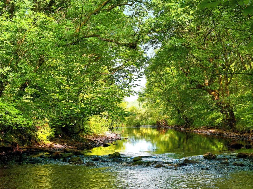 Galloway Forest Park
