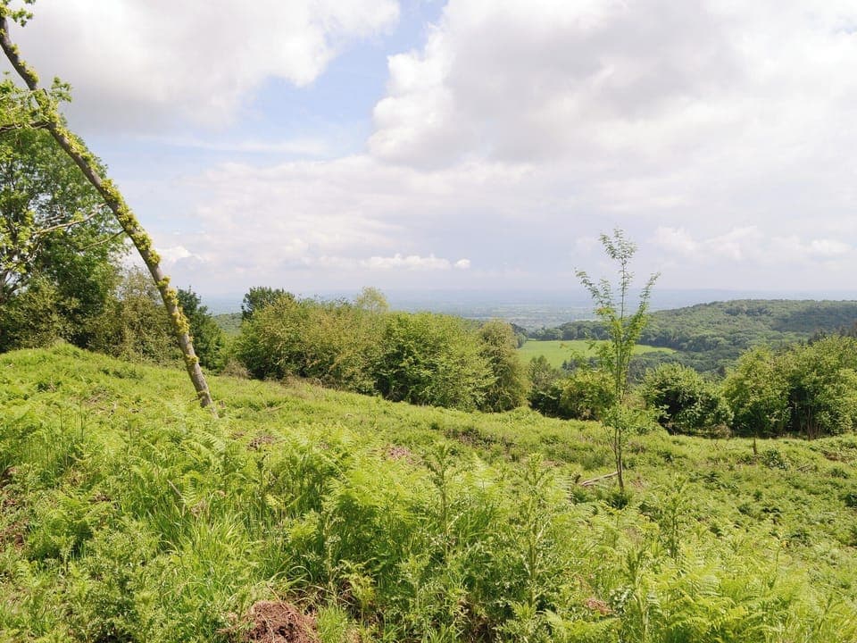Relaxing rural surroundings | The Hayloft, Edge Hills, near Littledean