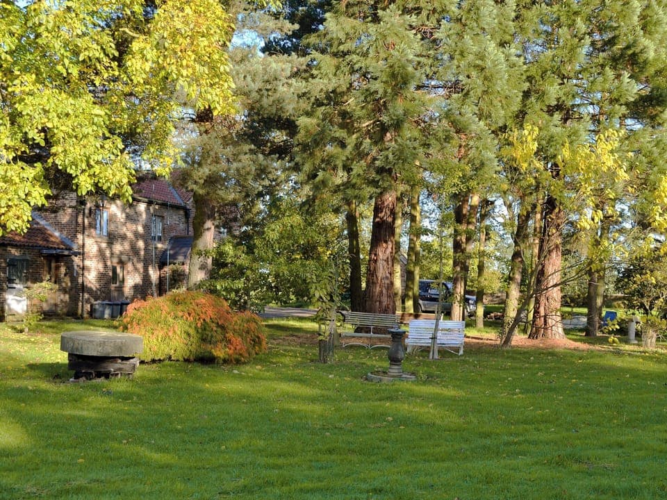 Garden and grounds | The Ashes, Low Dinsdale