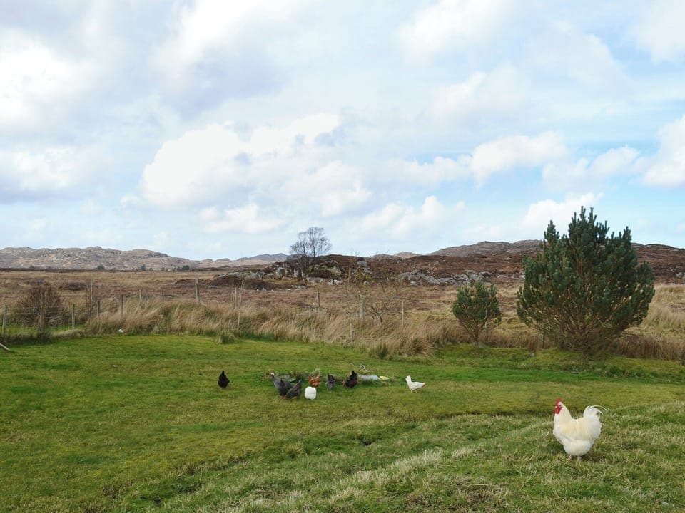 Beautiful open countryside | Riverview Cottage, Acharacle