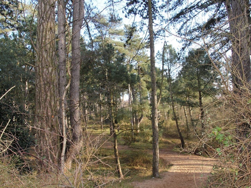 Surrounding area | Crow&rsquo;s Nest, Wells-next-the-Sea