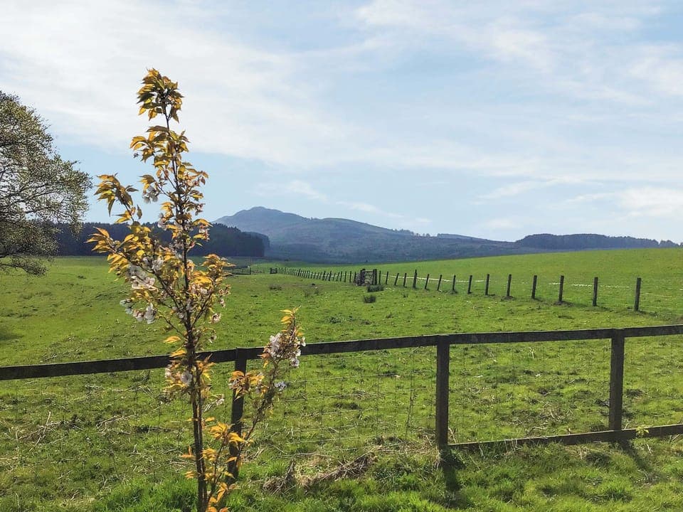 View | Heathfield, Denholm