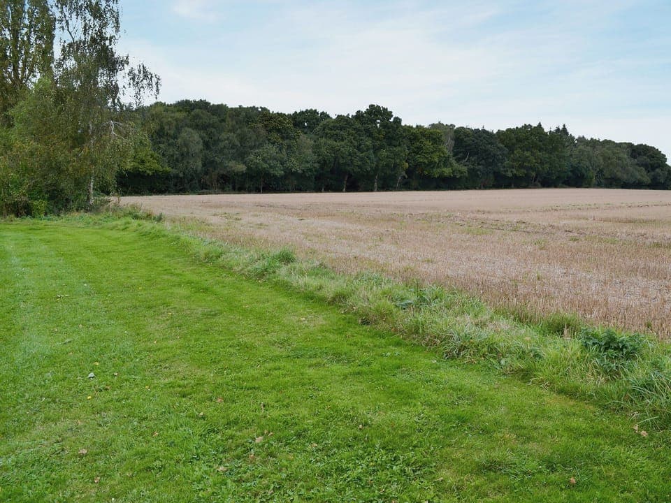 Surrounding area | The Cowshed, Blofield, near Norwich