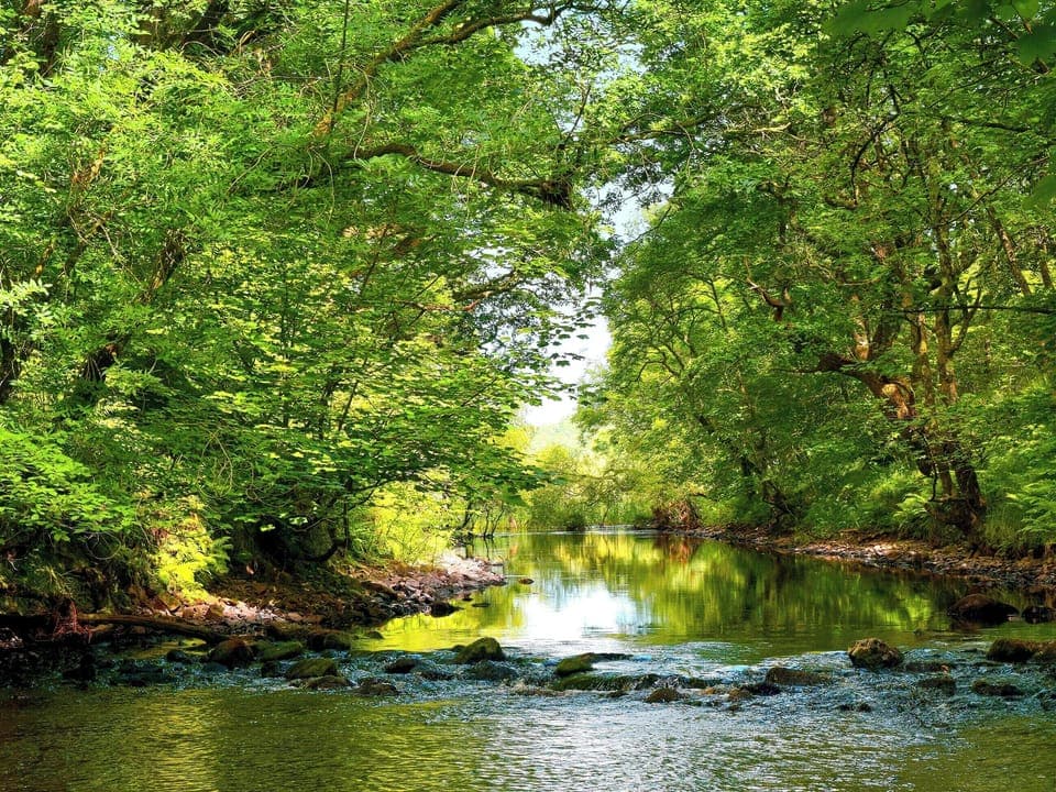 Galloway Forest Park