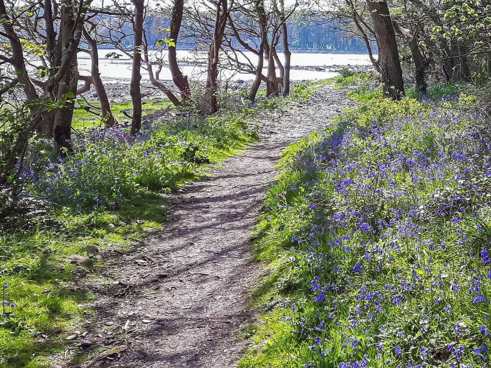 Surrounding area | Harbour Retreat, Newton Stewart