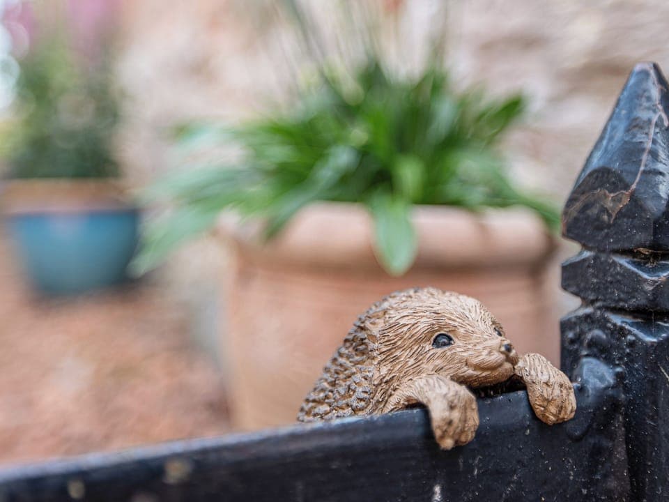 Outdoor area | Garden Cottage, Newby, near Penrith