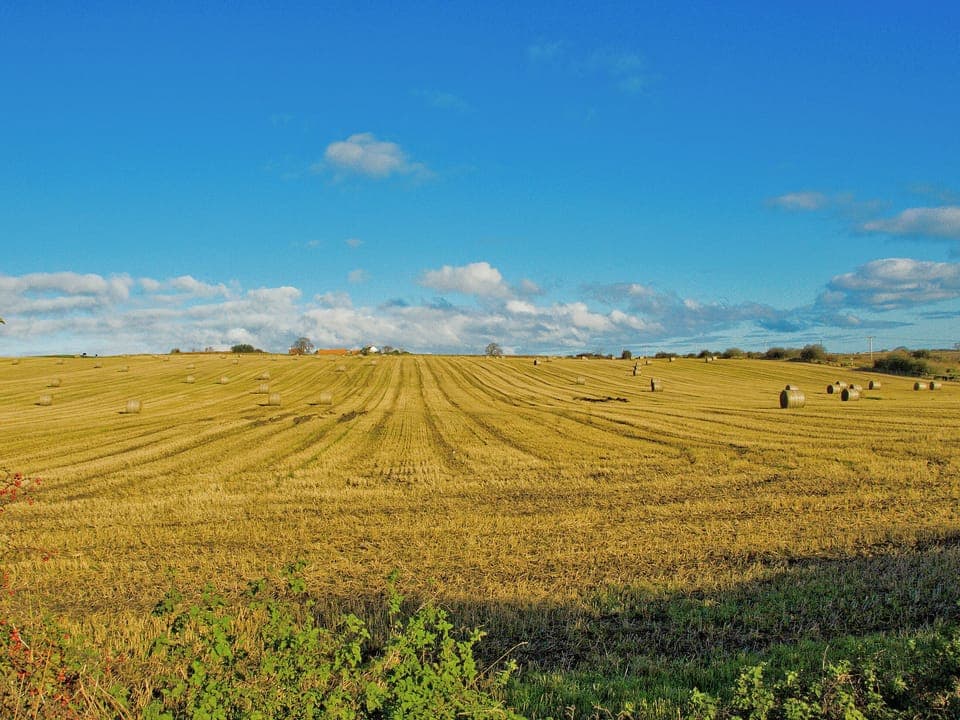 Surrounding area | Murton Cottage, Steading, Berwick-upon-Tweed