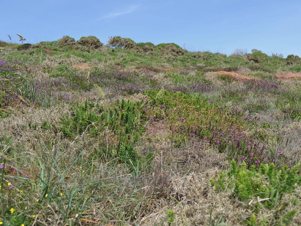 Portreath | Cornwall