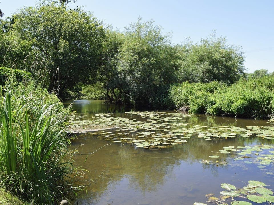 Tranquil river within the grounds | The Coach House, Aston Cantlow, near Stratford