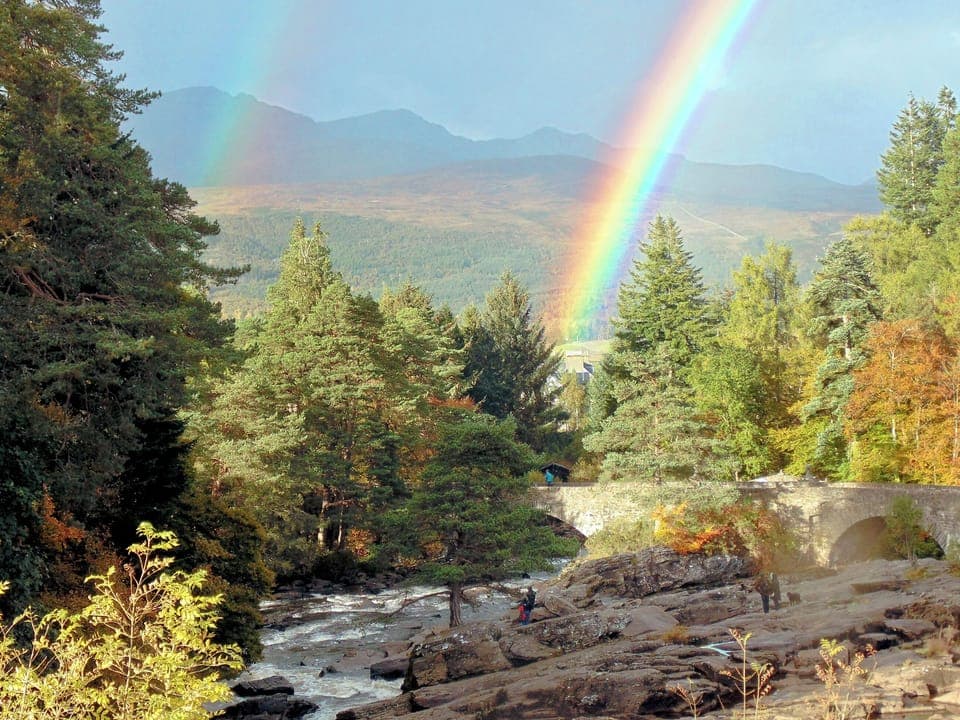 views in front of cottage