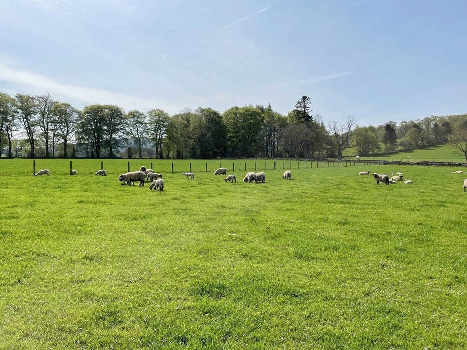 Setting | Longcroft Cottage, Oyne, near Insch