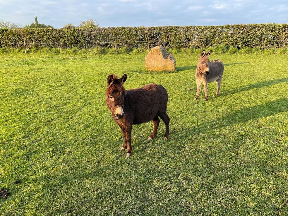 Surrounding area | The Old Carthouse, Near Uttoxeter