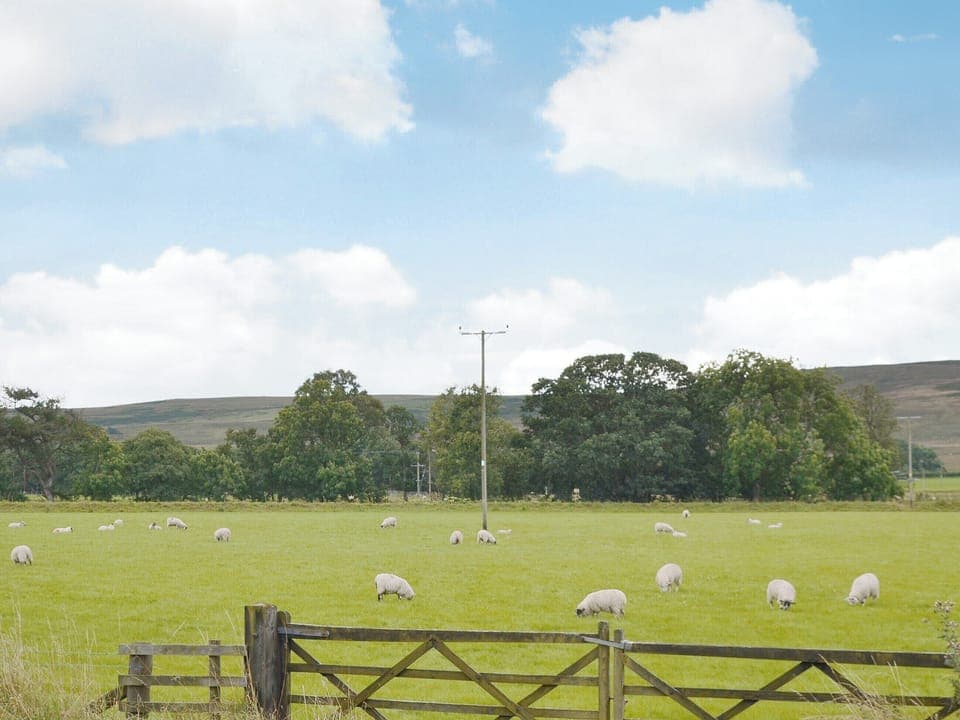 View | The Byres, Tarset near Bellingham & Kielder