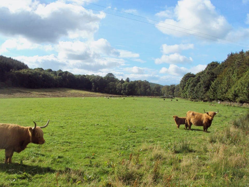 Surrounding area | Whitecroft - Rose Cottage, Dalbeattie
