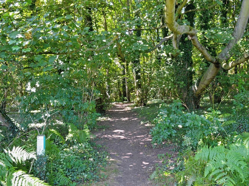 Surrounding area | Blue Skies - Low and High Tide, Cromer