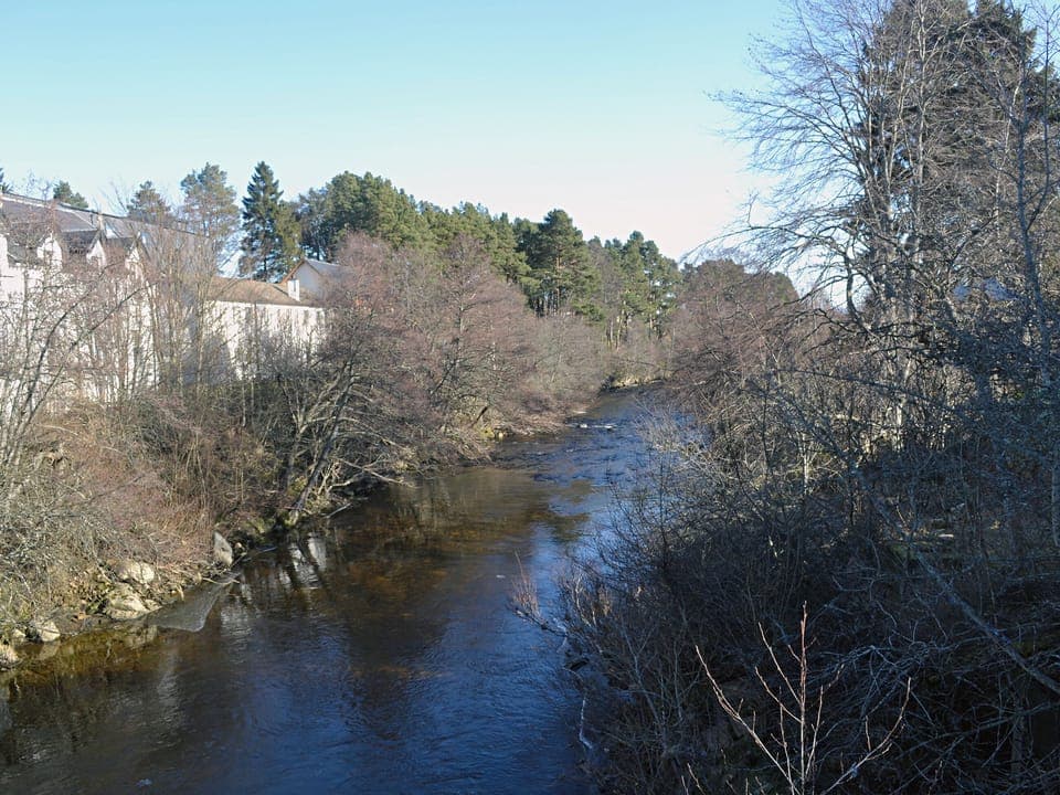 Dulnain River | Tall Pines, Carrbridge