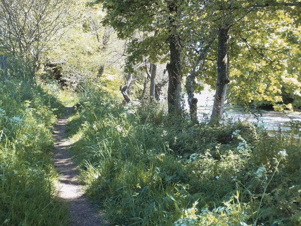 Surrounding area | Burnfoot of Cluden, Holywood, by Dumfries