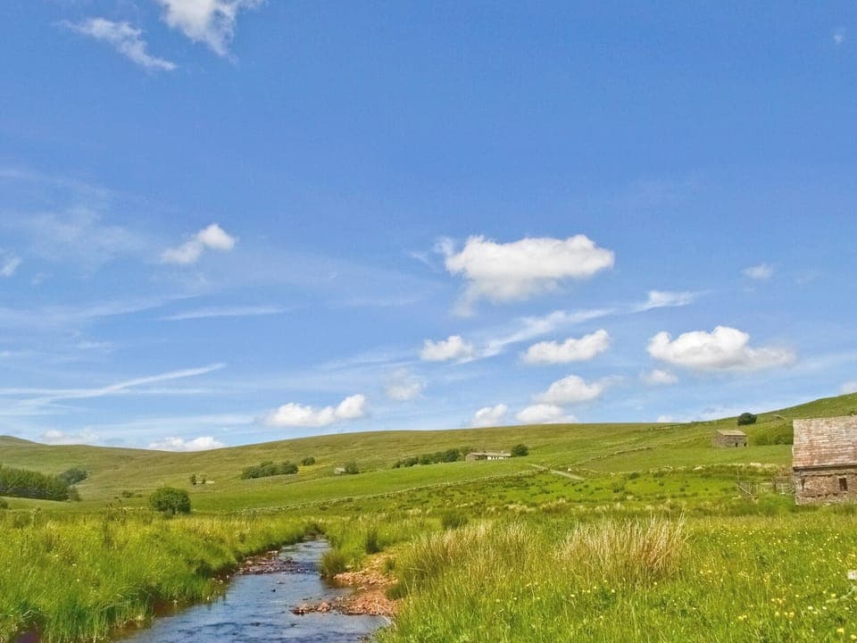 Grizedale | Cumbria, England