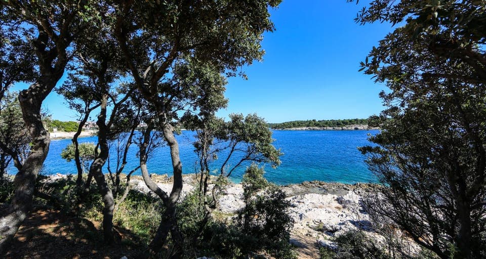 On the beach, water skiing