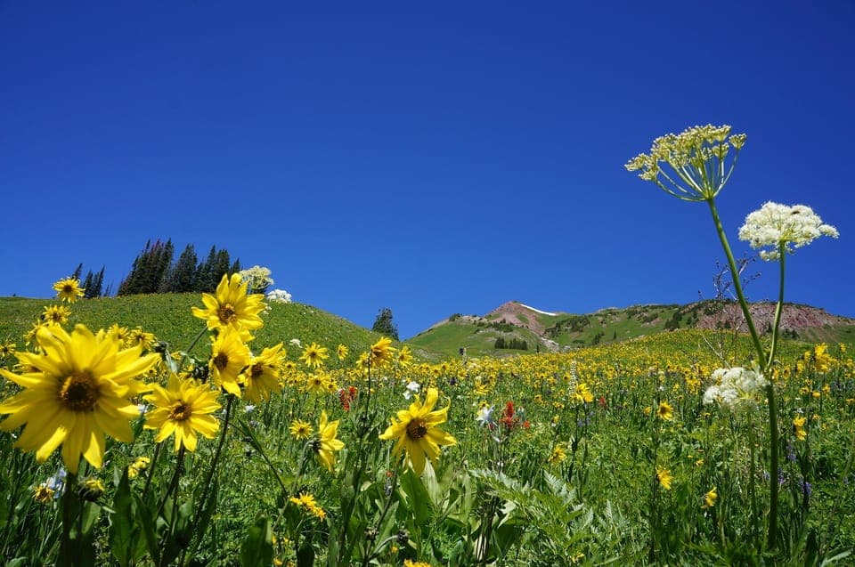 Great trails out the door for biking, hiking, skiing and snowshoeing.