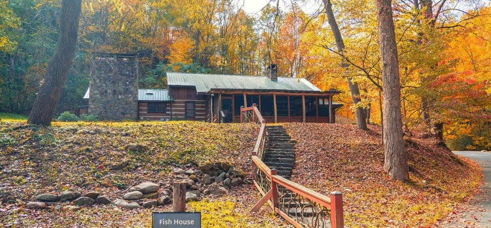 Staircase down to creek